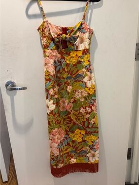 Cara Cara floral print dress with fringe hem